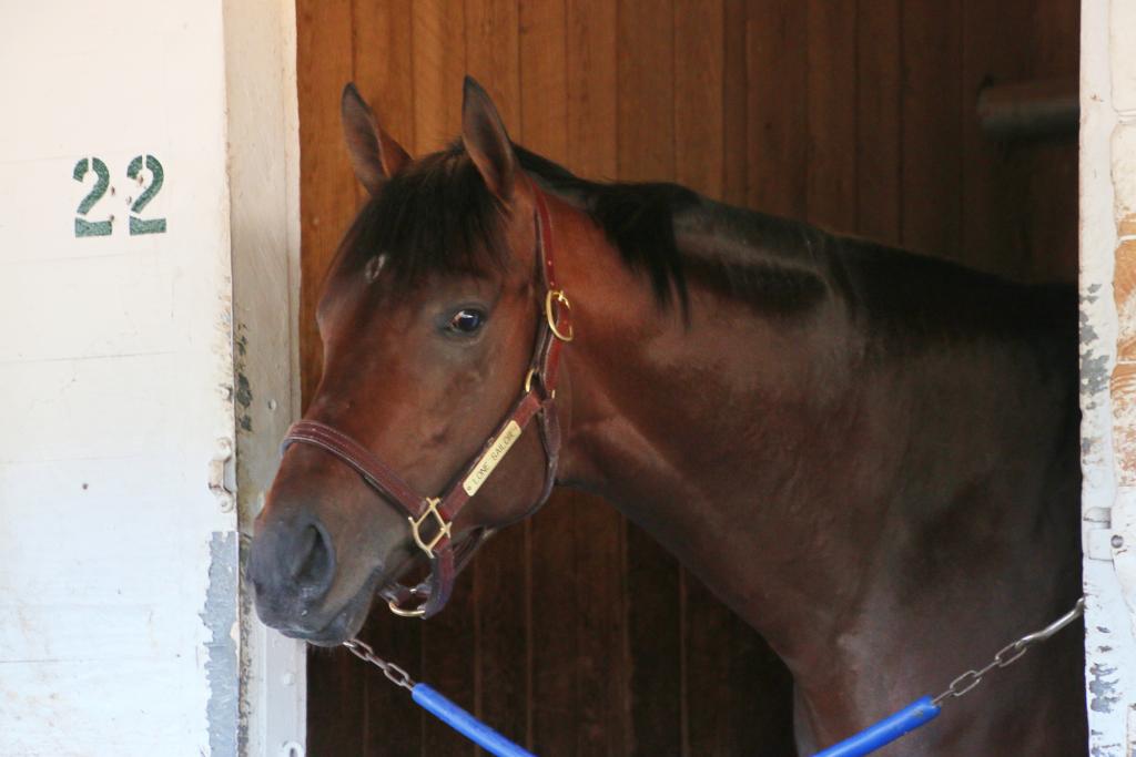 Lone Sailor in the Amoss barn. (Julie June Stewart photo)